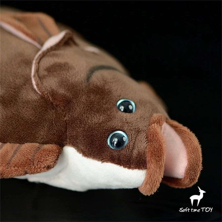 Flatfish, hochwertiges, niedliches Plüschtier, lebensechte Tiere, Stoffpuppe