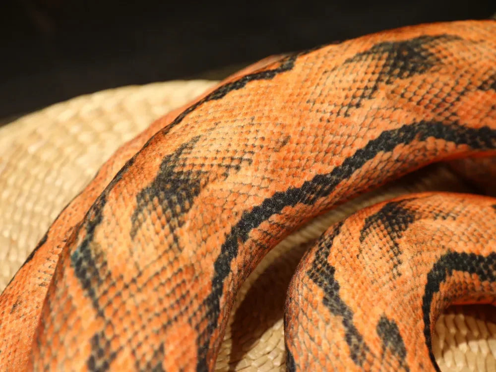 Riesenschlangen Plüschtier, Python Plüschtier