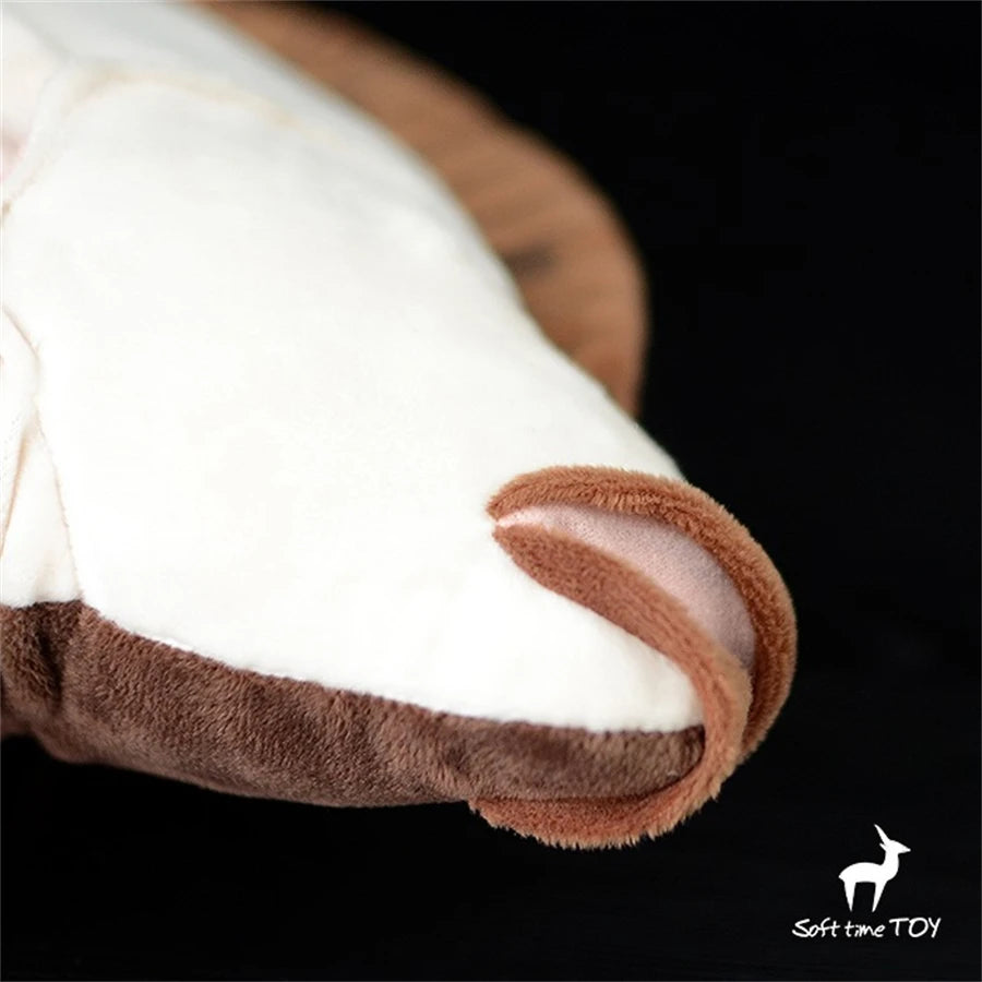 Flatfish, hochwertiges, niedliches Plüschtier, lebensechte Tiere, Stoffpuppe
